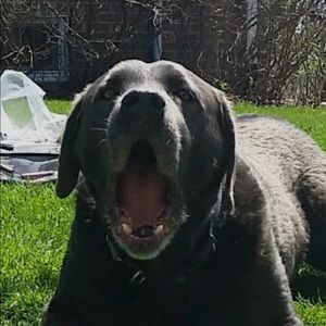 Meet your Posher, Tim